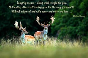 Integrity