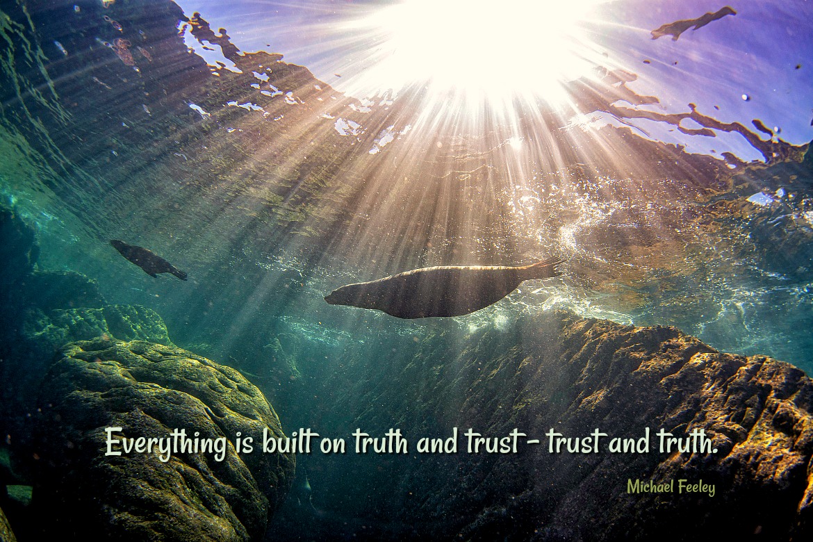 Truth and Trust