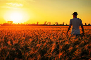 How Do You React? - Michael Feeley - Life and Career Coach