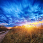 Look for Gratitude in Your Difficulties