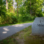 Milestones