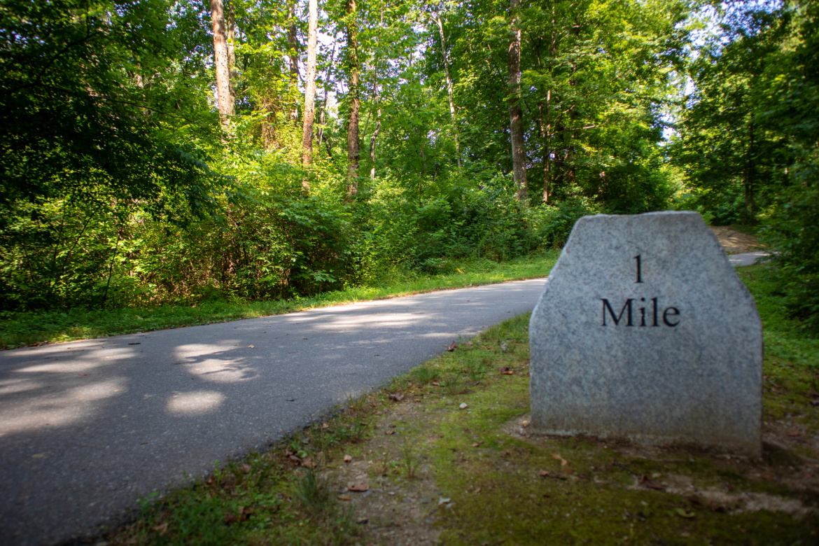 Milestones
