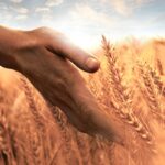 Gratitude Helps You See