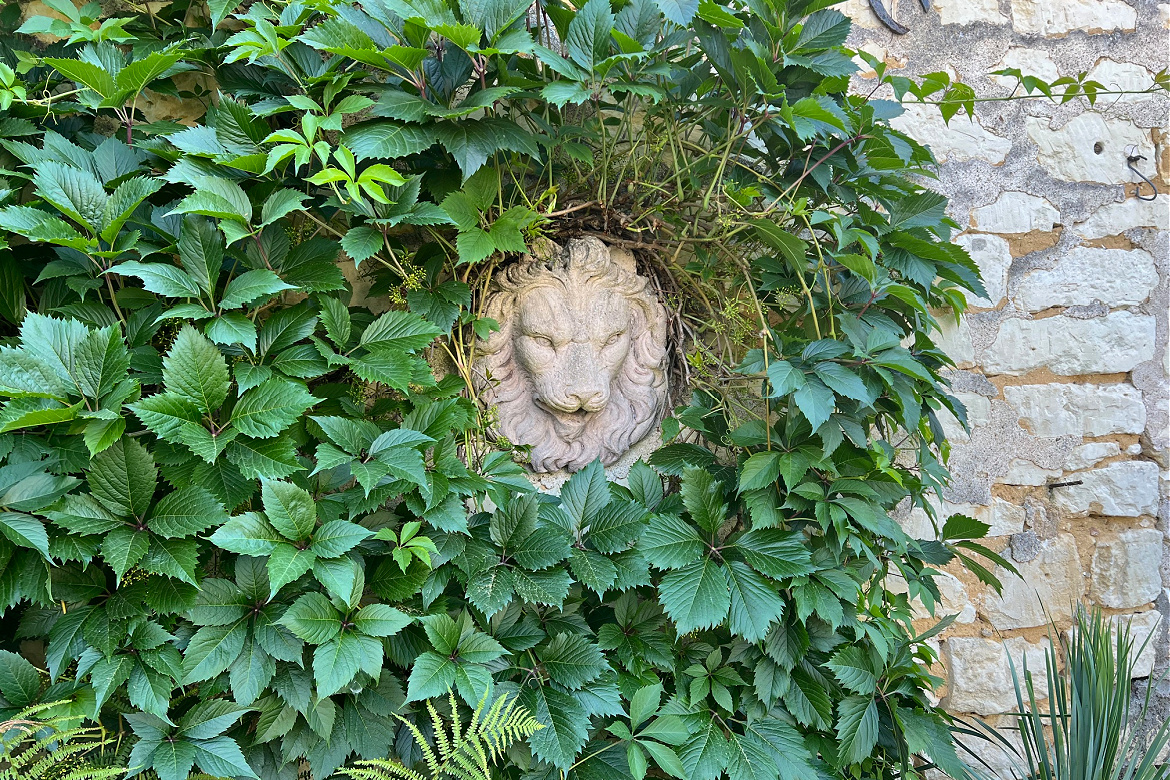 Fierce and Tender