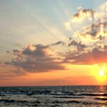 Gratitude Helps You Thrive