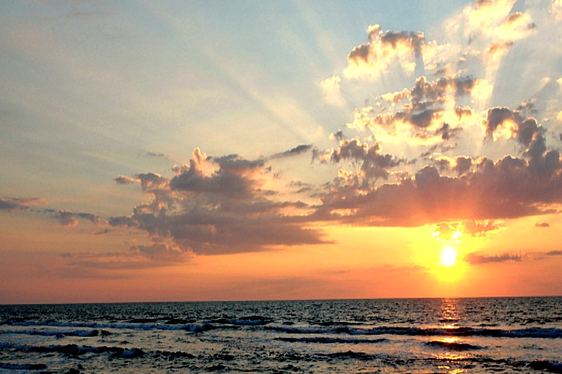 Gratitude Helps You Thrive