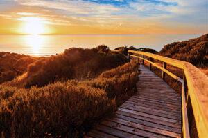 Disappointment and Inspiration - Michael Feeley - Life and Career Coach
