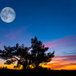 The Moon’s Daily Lesson