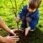 What the World Needs Now