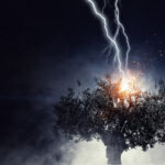 7 Surprise Vintage People