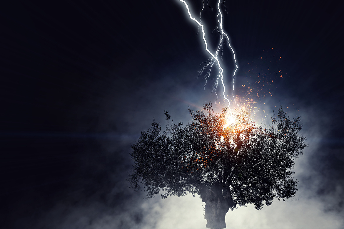 7 Surprise Vintage People